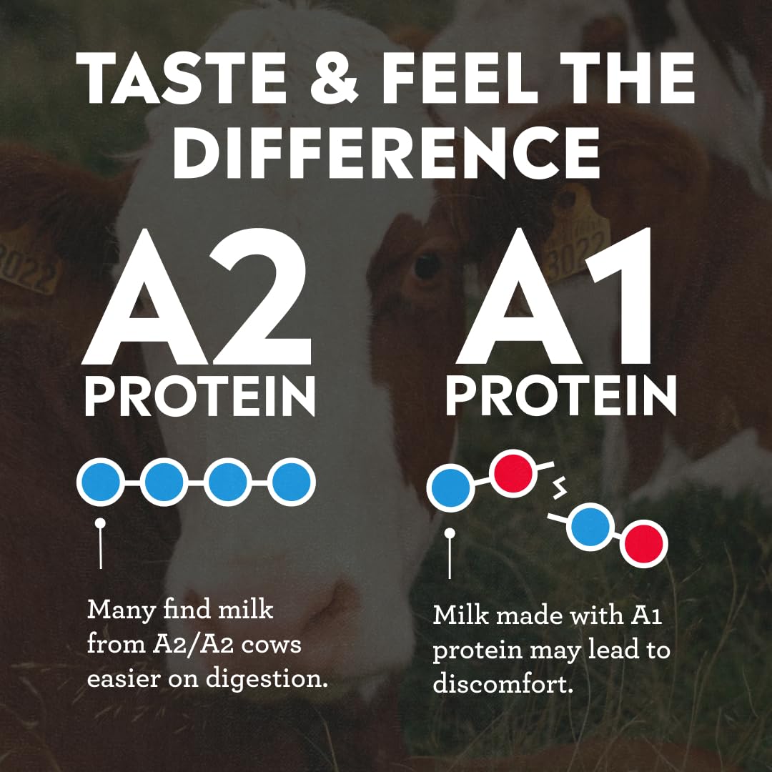Pioneer Pastures Protein A2 Milkshakes, Strawberries & Cream, 11oz, 12 Pack